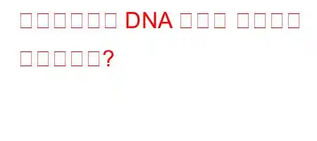 박테리아에서 DNA 복제는 어디에서 발생합니까?